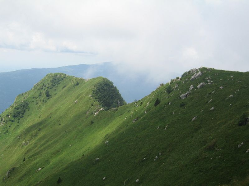 Kliknutím na obrázek se okno zavře